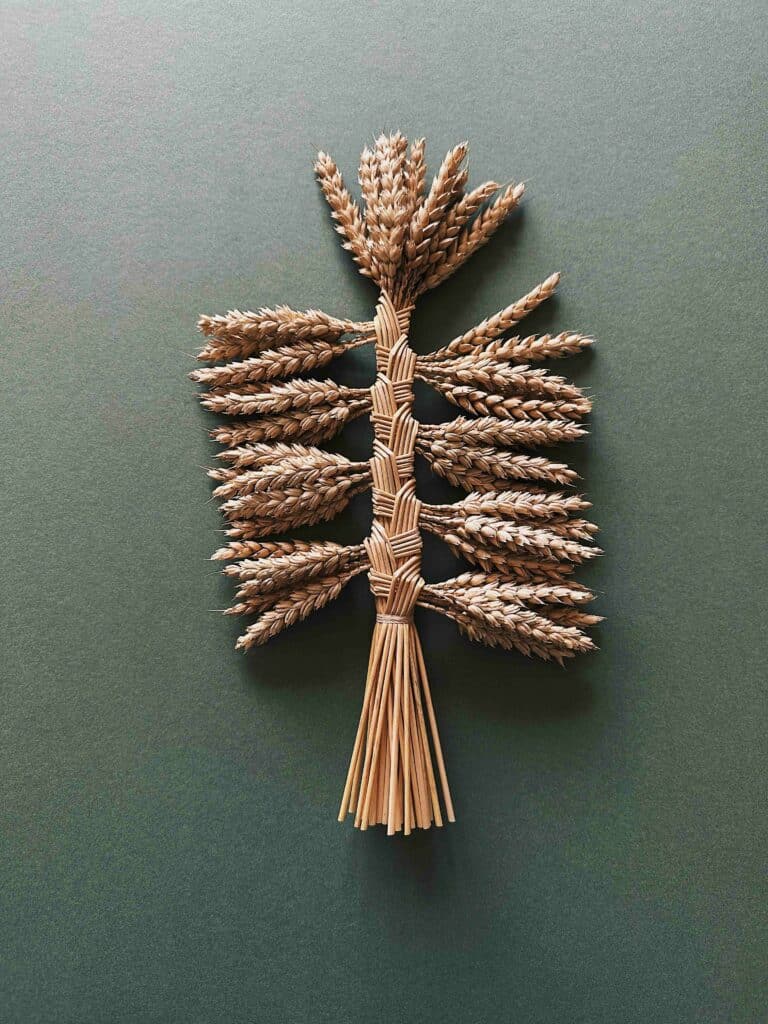 Mariee de la Moisson